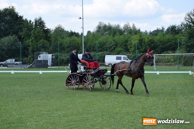 Zdjęcie w galerii na portalu naszwodzislaw.com: III Zawody Zaprzęgów Konnych w Gogołowej wiadomości z regionu