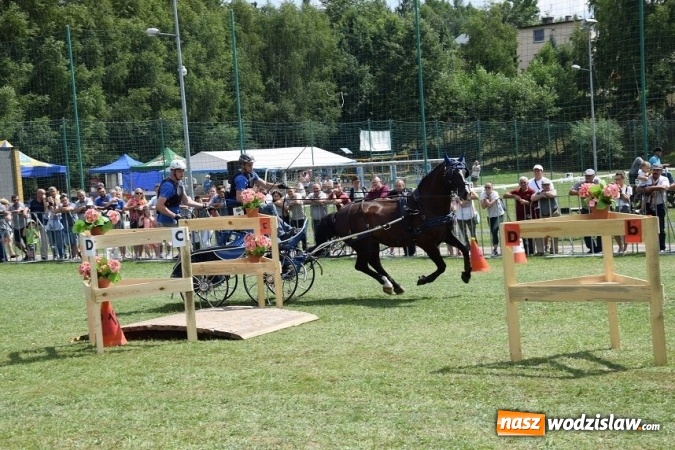 Zdjęcie w galerii na portalu naszwodzislaw.com: III Zawody Zaprzęgów Konnych w Gogołowej wiadomości z regionu