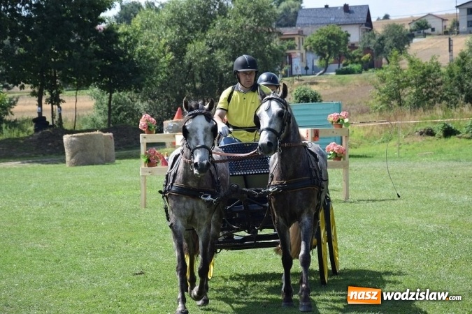 Zdjęcie w galerii na portalu naszwodzislaw.com: III Zawody Zaprzęgów Konnych w Gogołowej wiadomości z regionu