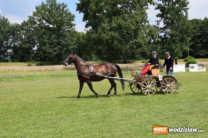 Zdjęcie w galerii na portalu naszwodzislaw.com: III Zawody Zaprzęgów Konnych w Gogołowej wiadomości z regionu