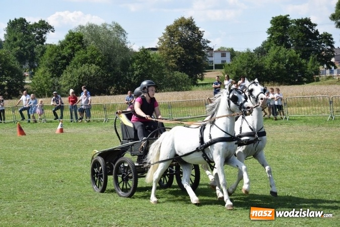 Zdjęcie w galerii na portalu naszwodzislaw.com: III Zawody Zaprzęgów Konnych w Gogołowej wiadomości z regionu