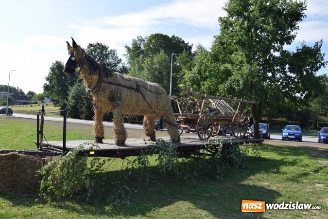 Zdjęcie w galerii na portalu naszwodzislaw.com: III Zawody Zaprzęgów Konnych w Gogołowej wiadomości z regionu