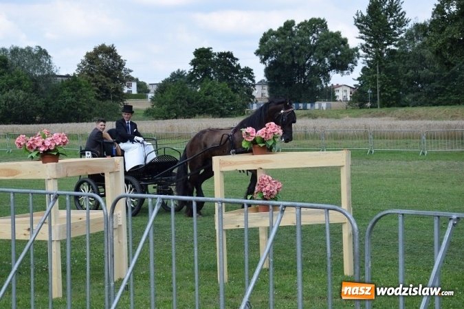 Zdjęcie w galerii na portalu naszwodzislaw.com: III Zawody Zaprzęgów Konnych w Gogołowej wiadomości z regionu