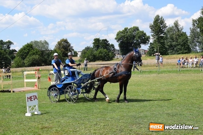 Zdjęcie w galerii na portalu naszwodzislaw.com: III Zawody Zaprzęgów Konnych w Gogołowej wiadomości z regionu
