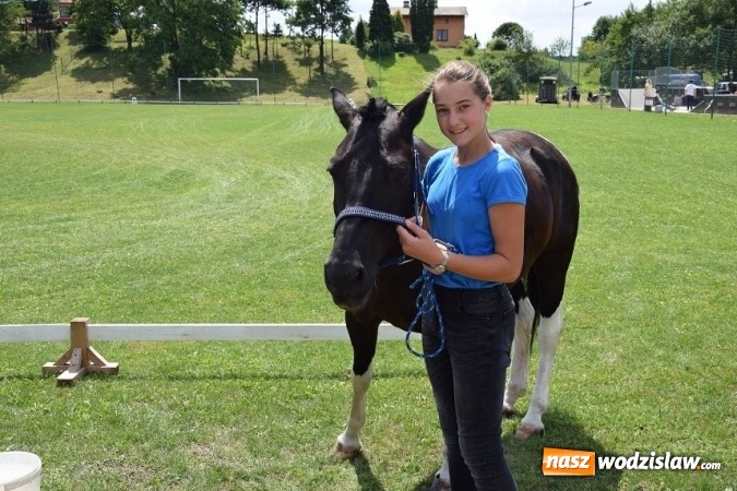 Zdjęcie w galerii na portalu naszwodzislaw.com: III Zawody Zaprzęgów Konnych w Gogołowej wiadomości z regionu