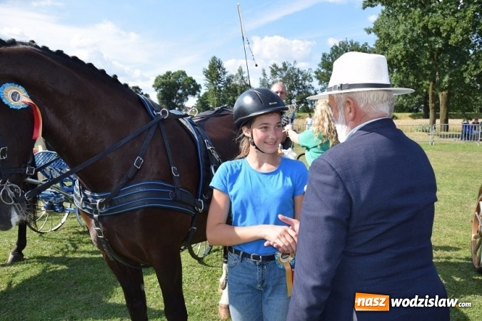 Zdjęcie w galerii na portalu naszwodzislaw.com: III Zawody Zaprzęgów Konnych w Gogołowej wiadomości z regionu
