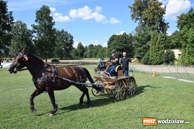 Zdjęcie w galerii na portalu naszwodzislaw.com: III Zawody Zaprzęgów Konnych w Gogołowej wiadomości z regionu