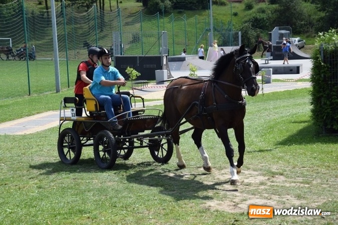 Zdjęcie w galerii na portalu naszwodzislaw.com: III Zawody Zaprzęgów Konnych w Gogołowej wiadomości z regionu