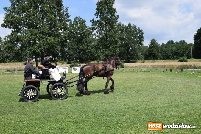 Zdjęcie w galerii na portalu naszwodzislaw.com: III Zawody Zaprzęgów Konnych w Gogołowej wiadomości z regionu