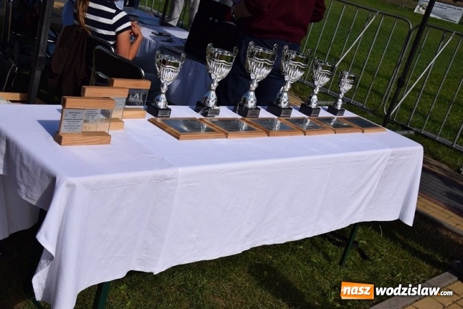 Zdjęcie w galerii na portalu naszwodzislaw.com: III Zawody Zaprzęgów Konnych w Gogołowej wiadomości z regionu