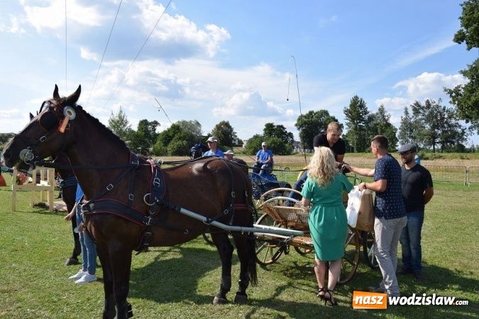 Zdjęcie w galerii na portalu naszwodzislaw.com: III Zawody Zaprzęgów Konnych w Gogołowej wiadomości z regionu