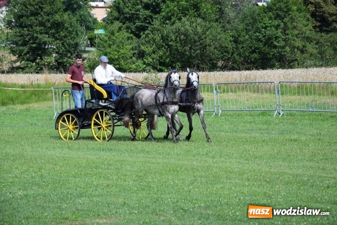 Zdjęcie w galerii na portalu naszwodzislaw.com: III Zawody Zaprzęgów Konnych w Gogołowej wiadomości z regionu
