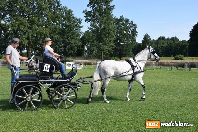 Zdjęcie w galerii na portalu naszwodzislaw.com: III Zawody Zaprzęgów Konnych w Gogołowej wiadomości z regionu