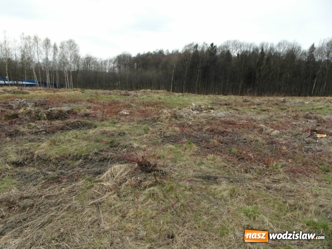 Zdjęcie w galerii na portalu naszwodzislaw.com: Działki produkcyjno-usługowe na sprzedaż wiadomości z regionu