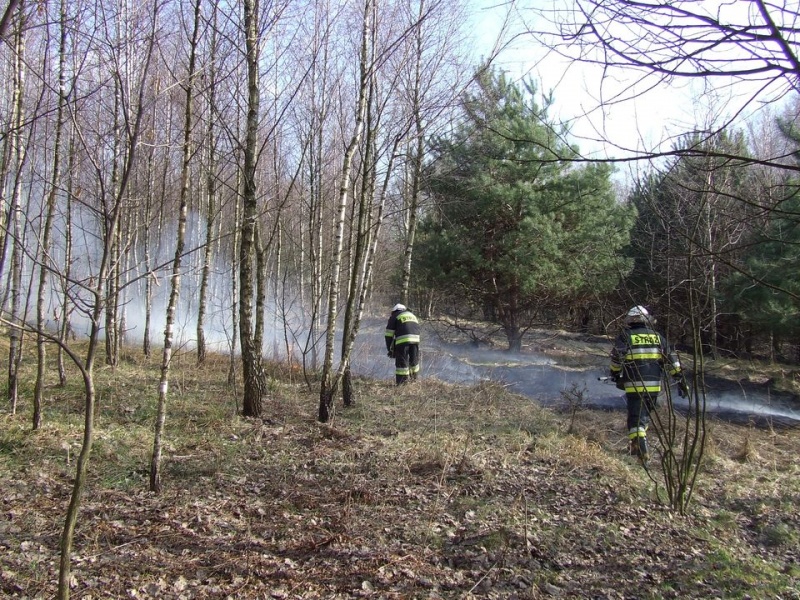 Zdjęcie w galerii na portalu naszwodzislaw.com: Spłonął prawie hektar nieużytków wiadomości z regionu