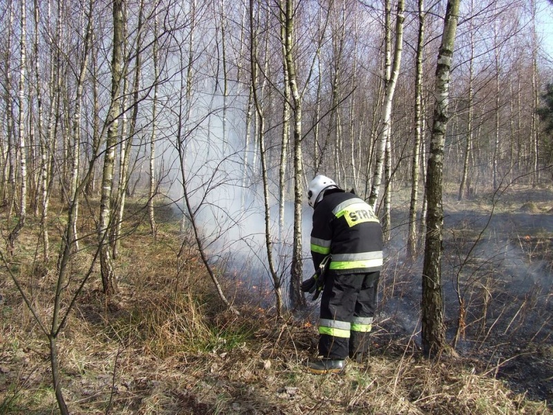Zdjęcie w galerii na portalu naszwodzislaw.com: Spłonął prawie hektar nieużytków wiadomości z regionu