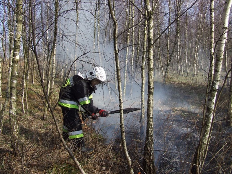 Zdjęcie w galerii na portalu naszwodzislaw.com: Spłonął prawie hektar nieużytków wiadomości z regionu