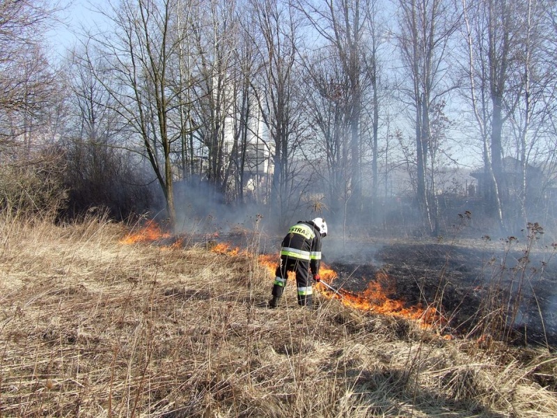 Zdjęcie w galerii na portalu naszwodzislaw.com: Spłonął prawie hektar nieużytków wiadomości z regionu
