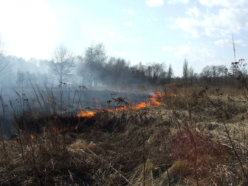 Zdjęcie w galerii na portalu naszwodzislaw.com: Spłonął prawie hektar nieużytków wiadomości z regionu