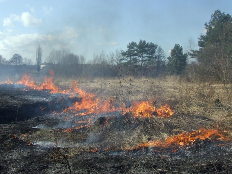 Zdjęcie w galerii na portalu naszwodzislaw.com: Spłonął prawie hektar nieużytków wiadomości z regionu