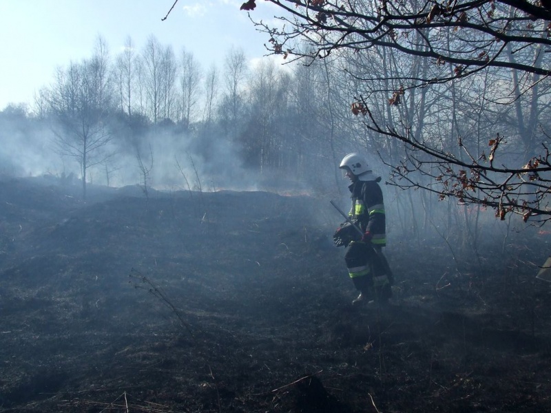 Zdjęcie w galerii na portalu naszwodzislaw.com: Spłonął prawie hektar nieużytków wiadomości z regionu