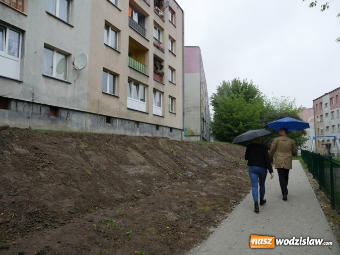 Zdjęcie w galerii na portalu naszwodzislaw.com: Rozwój terenów zielonych w Wodzisławiu Śląskim  wiadomości z regionu