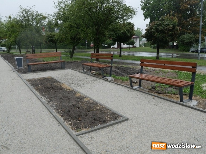 Zdjęcie w galerii na portalu naszwodzislaw.com: Rozwój terenów zielonych w Wodzisławiu Śląskim  wiadomości z regionu
