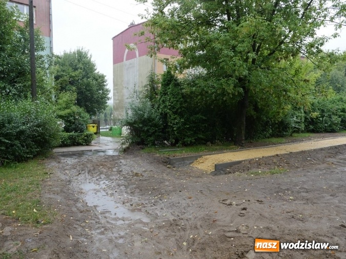 Zdjęcie w galerii na portalu naszwodzislaw.com: Rozwój terenów zielonych w Wodzisławiu Śląskim  wiadomości z regionu
