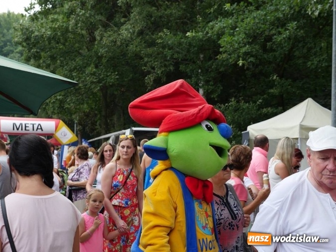 Zdjęcie w galerii na portalu naszwodzislaw.com: 22 lipca na Balatonie, czyli wyjątkowy piknik w klimacie PRL wiadomości z regionu