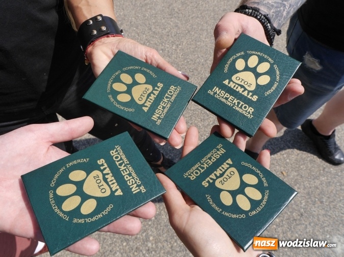 Zdjęcie w galerii na portalu naszwodzislaw.com: W Jastrzębiu-Zdroju powstał inspektorat OTOZ Animals wiadomości z regionu
