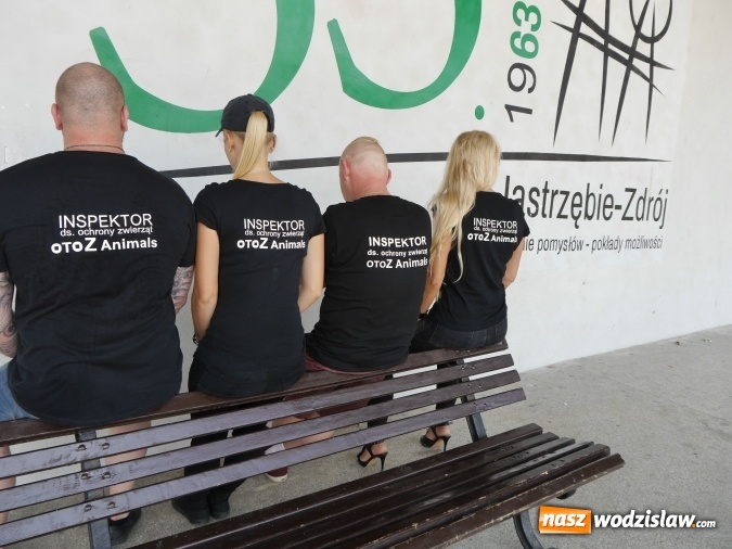 Zdjęcie w galerii na portalu naszwodzislaw.com: W Jastrzębiu-Zdroju powstał inspektorat OTOZ Animals wiadomości z regionu
