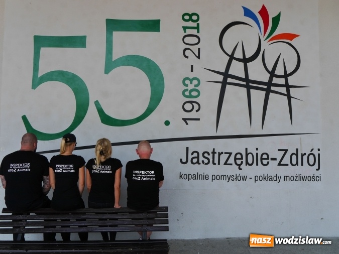 Zdjęcie w galerii na portalu naszwodzislaw.com: W Jastrzębiu-Zdroju powstał inspektorat OTOZ Animals wiadomości z regionu