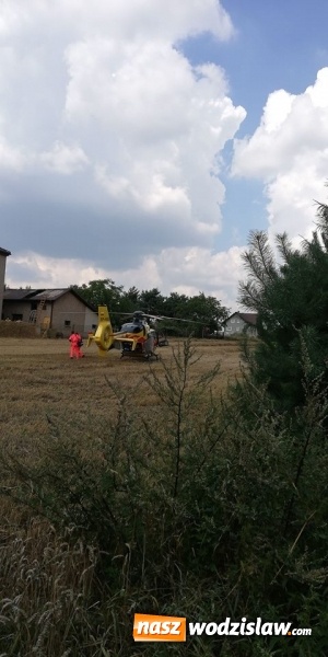 Zdjęcie w galerii na portalu naszwodzislaw.com: Pożar przy ulicy Jesionowej w Lubomi. Jedna osoba nie żyje. W akcji śmigłowiec Lotniczego Pogotowia Ratunkowego wiadomości z regionu