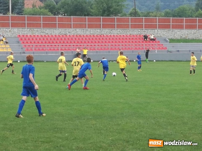 Zdjęcie w galerii na portalu naszwodzislaw.com: Młodzież z Rydułtów bierze udział w obozach sportowych wiadomości z regionu