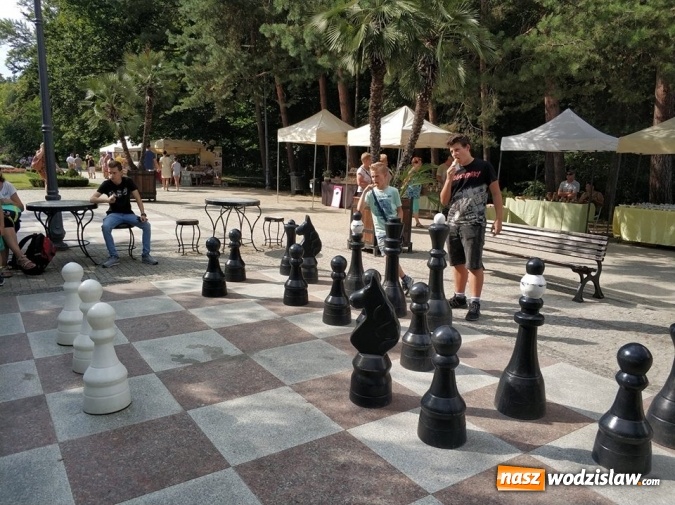 Zdjęcie w galerii na portalu naszwodzislaw.com: Awans szachistów z Rydułtów do Ekstraligi Juniorów wiadomości z regionu