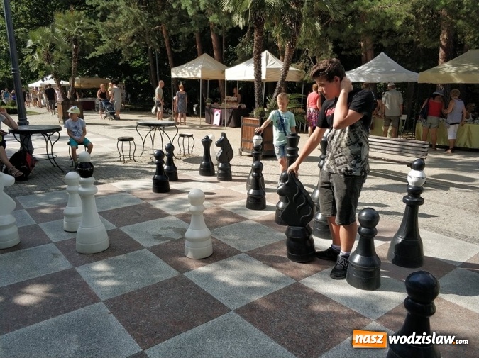 Zdjęcie w galerii na portalu naszwodzislaw.com: Awans szachistów z Rydułtów do Ekstraligi Juniorów wiadomości z regionu