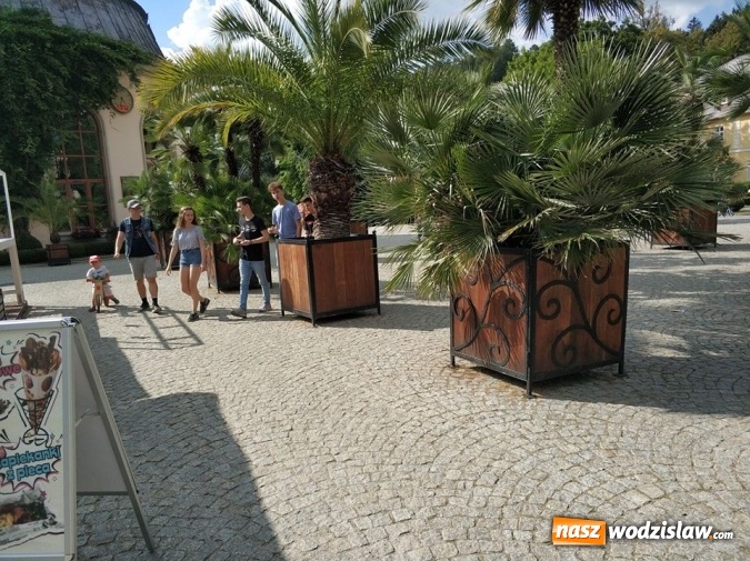 Zdjęcie w galerii na portalu naszwodzislaw.com: Awans szachistów z Rydułtów do Ekstraligi Juniorów wiadomości z regionu