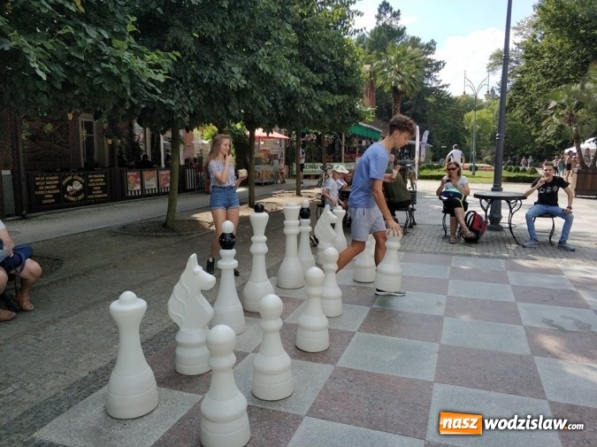 Zdjęcie w galerii na portalu naszwodzislaw.com: Awans szachistów z Rydułtów do Ekstraligi Juniorów wiadomości z regionu