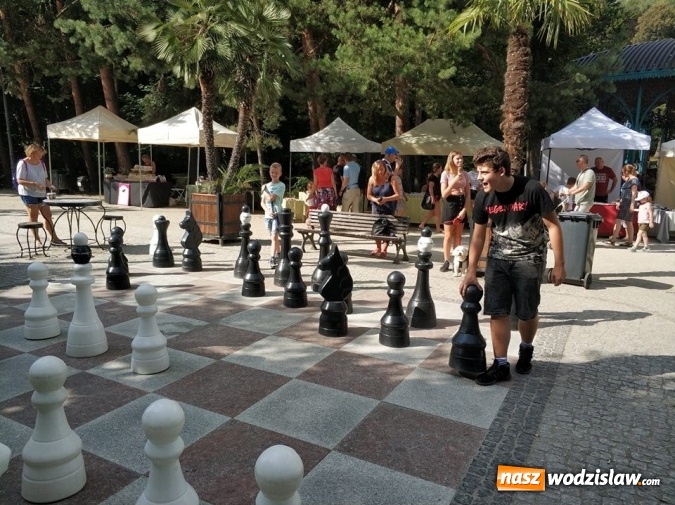 Zdjęcie w galerii na portalu naszwodzislaw.com: Awans szachistów z Rydułtów do Ekstraligi Juniorów wiadomości z regionu