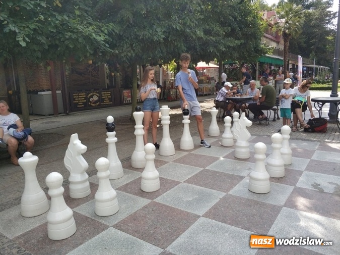 Zdjęcie w galerii na portalu naszwodzislaw.com: Awans szachistów z Rydułtów do Ekstraligi Juniorów wiadomości z regionu