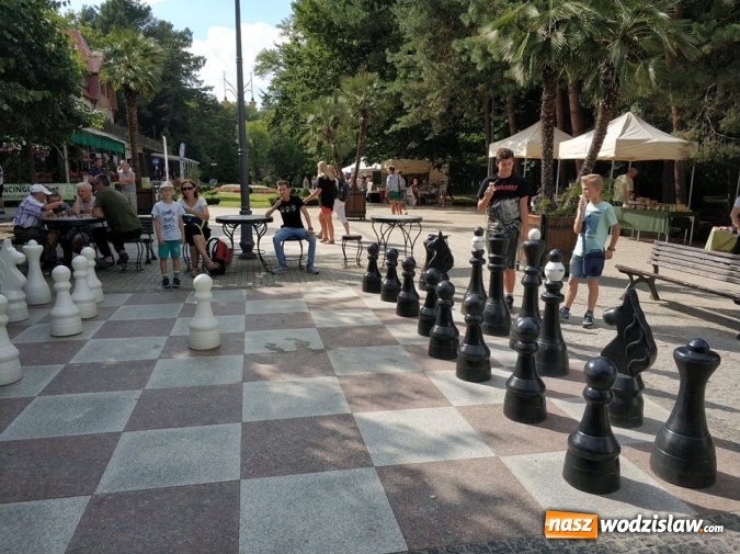 Zdjęcie w galerii na portalu naszwodzislaw.com: Awans szachistów z Rydułtów do Ekstraligi Juniorów wiadomości z regionu