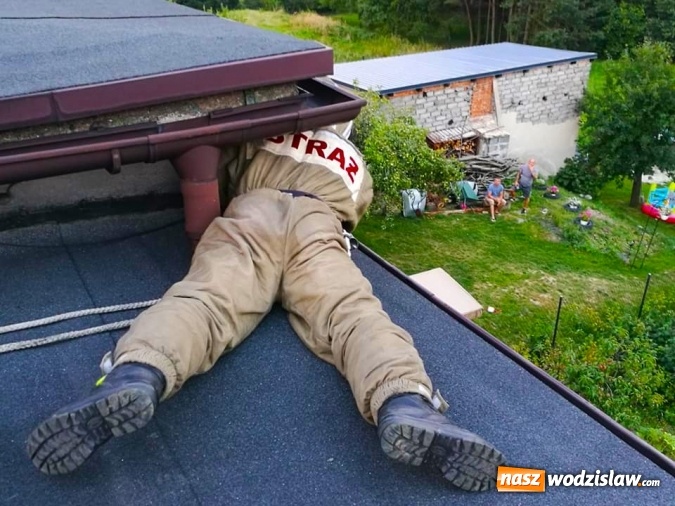 Zdjęcie w galerii na portalu naszwodzislaw.com: Akcja strażaków w Radlinie. Konieczne było usunięcie gniazd owadów wiadomości z regionu