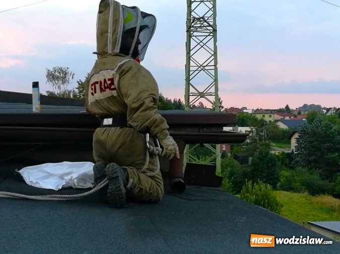 Zdjęcie w galerii na portalu naszwodzislaw.com: Akcja strażaków w Radlinie. Konieczne było usunięcie gniazd owadów wiadomości z regionu