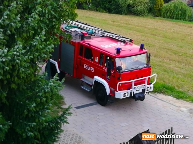 Zdjęcie w galerii na portalu naszwodzislaw.com: Akcja strażaków w Radlinie. Konieczne było usunięcie gniazd owadów wiadomości z regionu