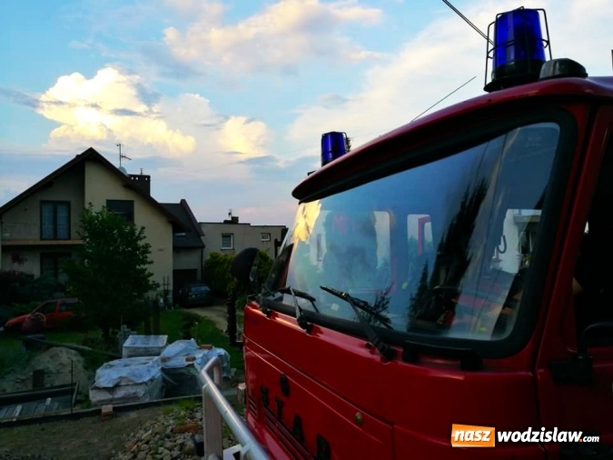 Zdjęcie w galerii na portalu naszwodzislaw.com: Akcja strażaków w Radlinie. Konieczne było usunięcie gniazd owadów wiadomości z regionu