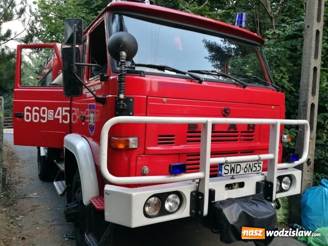 Zdjęcie w galerii na portalu naszwodzislaw.com: Akcja strażaków w Radlinie. Konieczne było usunięcie gniazd owadów wiadomości z regionu