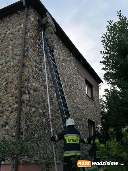 Zdjęcie w galerii na portalu naszwodzislaw.com: Akcja strażaków w Radlinie. Konieczne było usunięcie gniazd owadów wiadomości z regionu