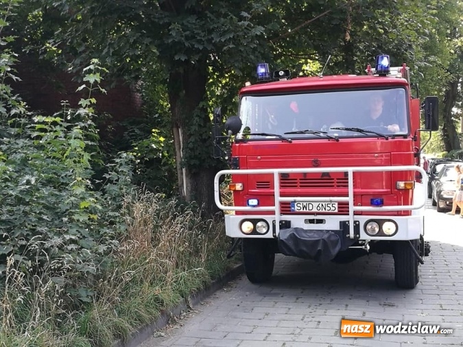 Zdjęcie w galerii na portalu naszwodzislaw.com: Pożar śmietnika i nieużytków w Radlinie wiadomości z regionu