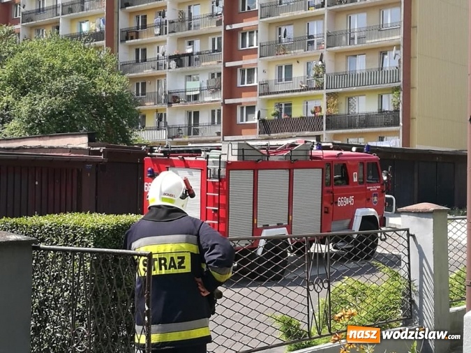 Zdjęcie w galerii na portalu naszwodzislaw.com: Interwencji związanych z owadami ciąg dalszy. Strażacy mają pełne ręce roboty wiadomości z regionu