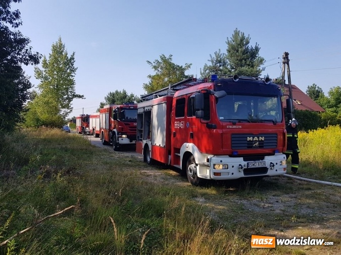Zdjęcie w galerii na portalu naszwodzislaw.com: Strażacy walczyli z pożarem trawy w Godowie wiadomości z regionu